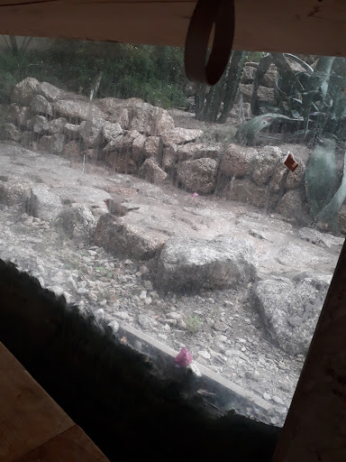 Photo of Eden Kitchen/Cantina/Café - Unnamed Road, Par, Bodelva, Par PL24 2SG